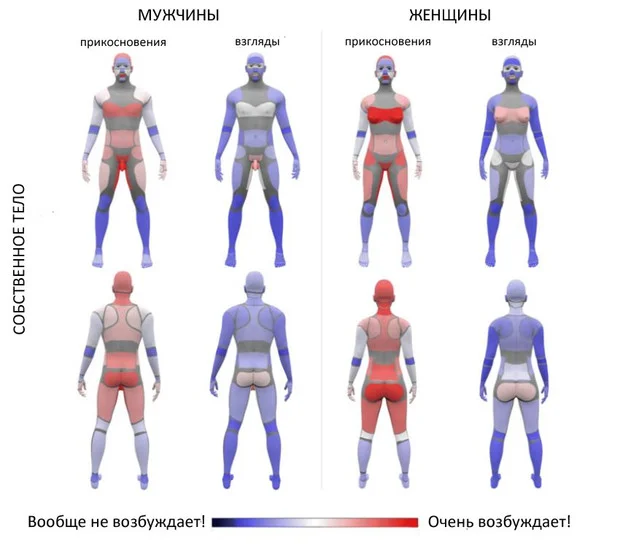 Эрогенные зоны у мужчин и женщин
